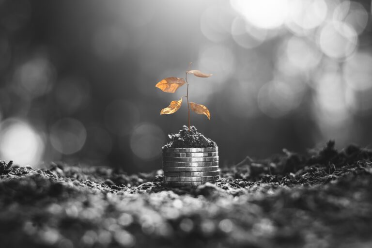 The seedlings were withered on the coins stacked on the ground